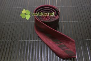huong-dan-cach-chon-ca-vat-dep-va-bao-quan-tot-nhat-4